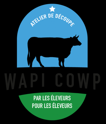 logo-wapi-cowp-web.png