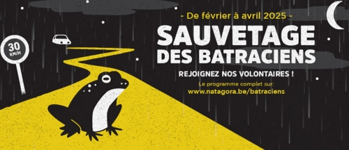 Capture d’écran 2026-02-14 181051.jpg