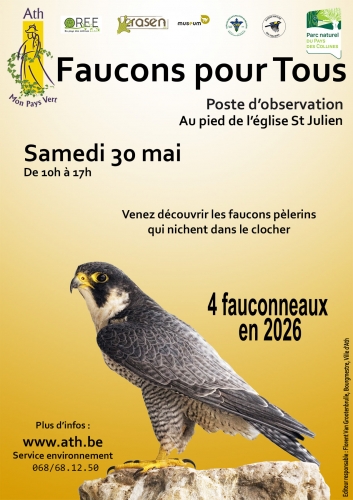 affiche-faucons-2k26_edited.jpg