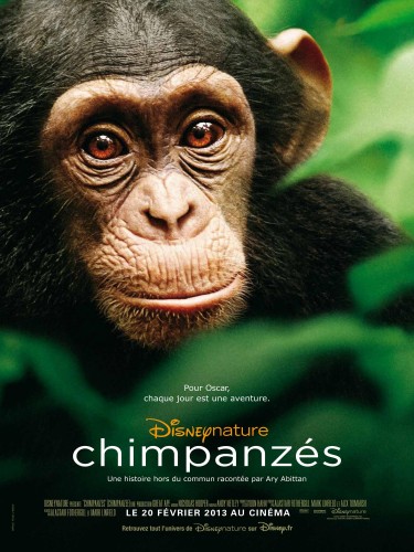Chimpanzes-Affiche-France.jpg