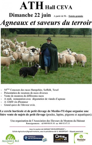 Moutons.jpg