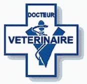 veterinaire.jpg